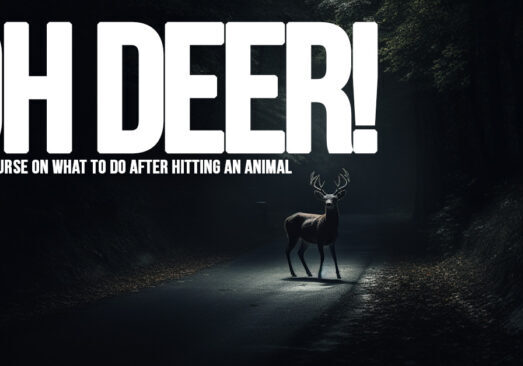 AUTO- Oh Deer! Crash Course on What to Do After Hitting an Animal