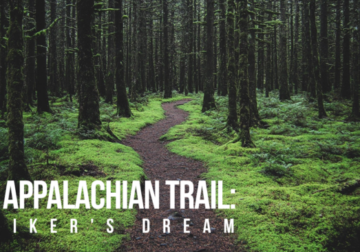 FUN-The Appalachian Trail_ A Hiker's Dream